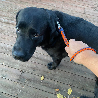 Hand loop control dog-leash