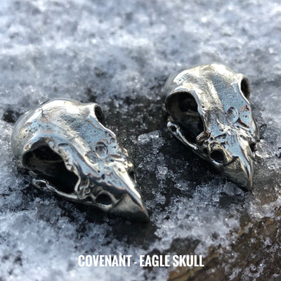 Eagle skull